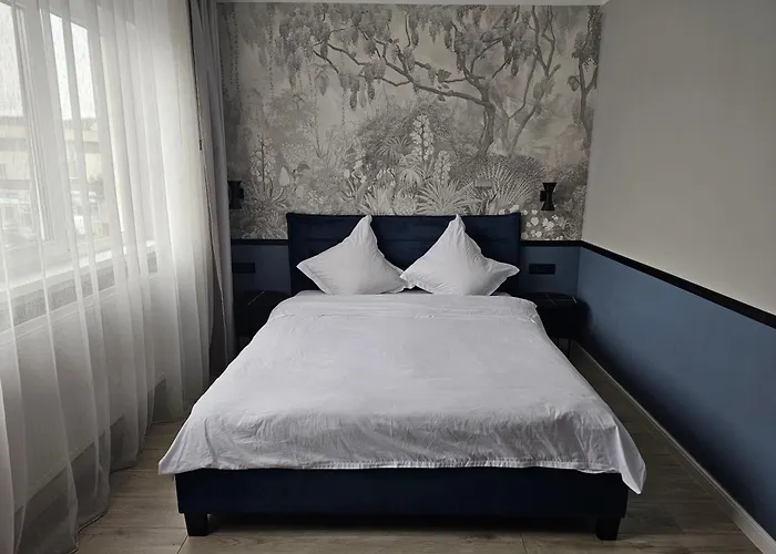 Apartamentul Panda * Braşov